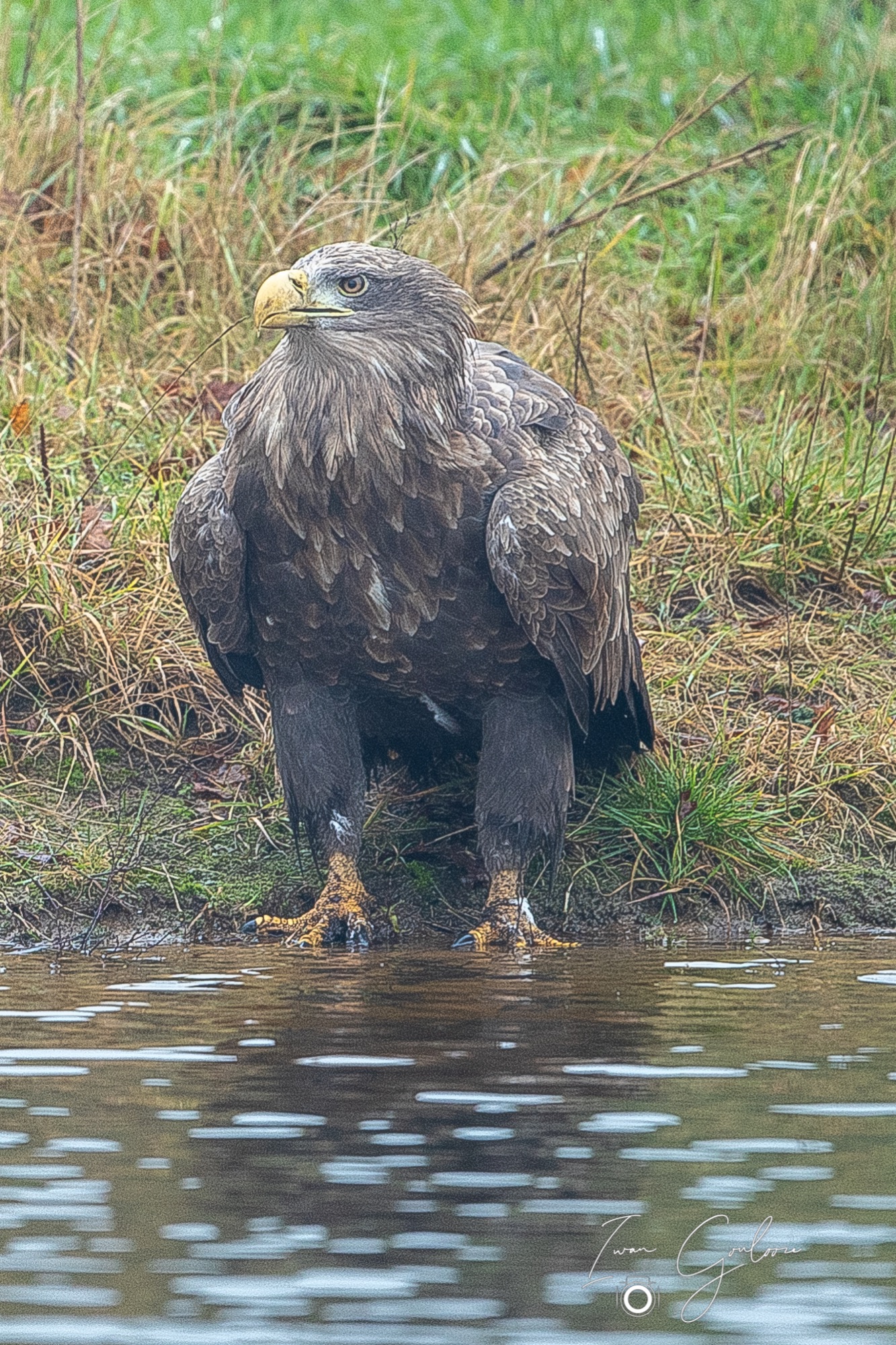 1DX46802 12 december 2021 1443 15